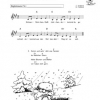 SPASS BEISAITE | Gitarrenkurs von Michael Schmolke | Auszug Band 2, Seite 49